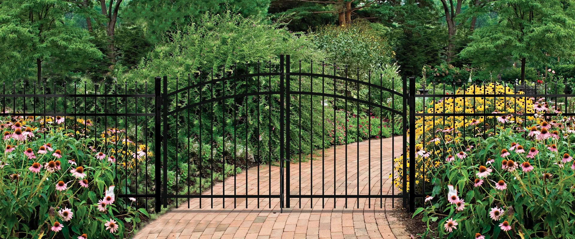 GEORGETOWN - Image 3