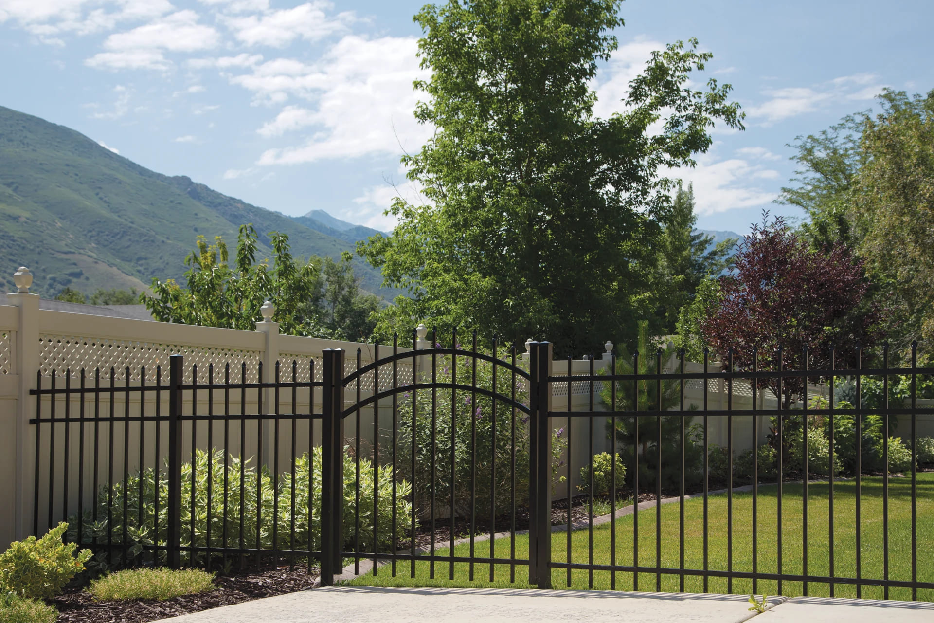 GEORGETOWN - Image 5