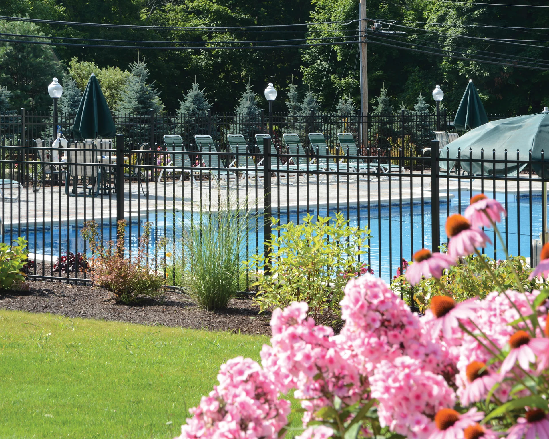 GEORGETOWN - Image 15