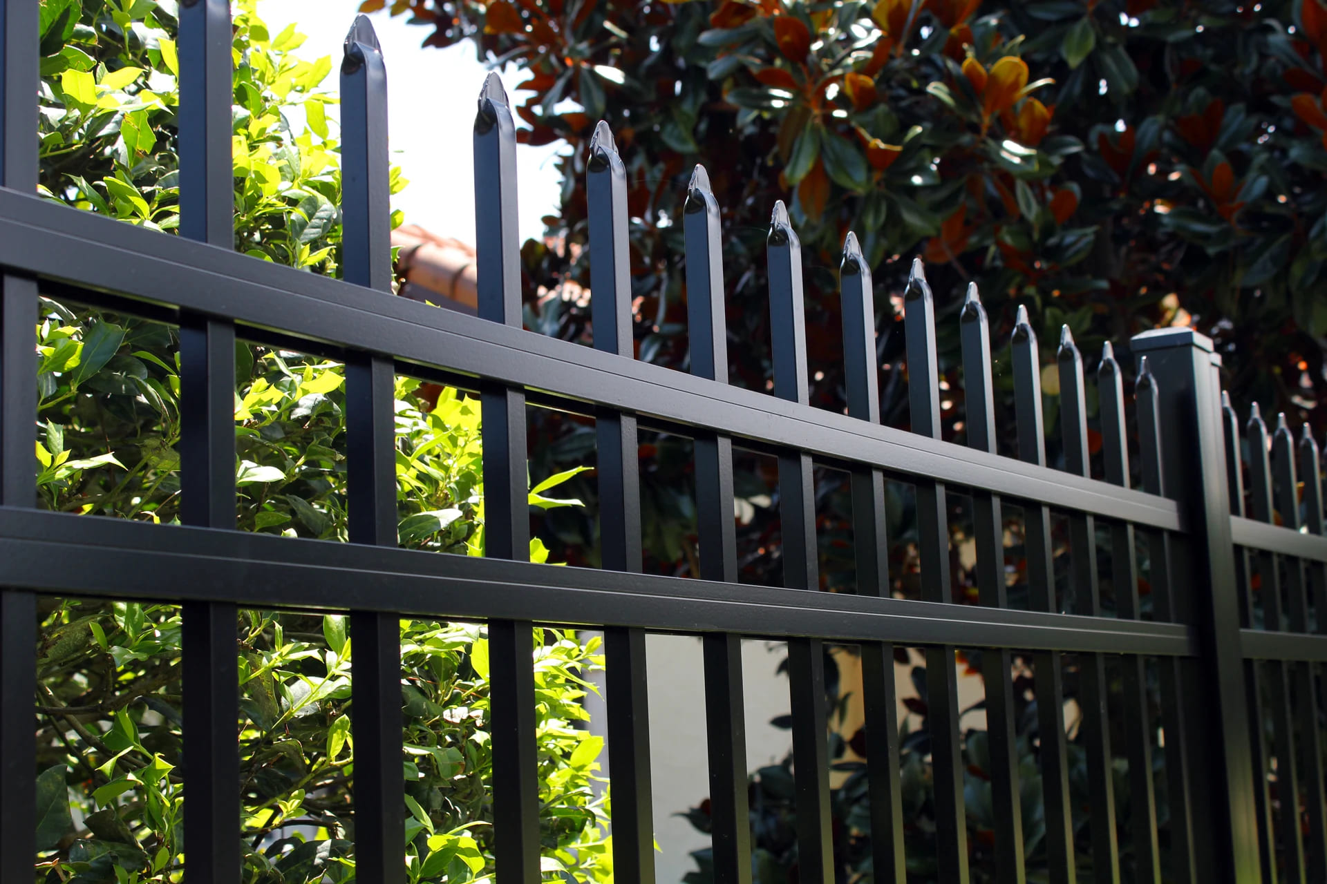 NEWCASTLE - Image 13